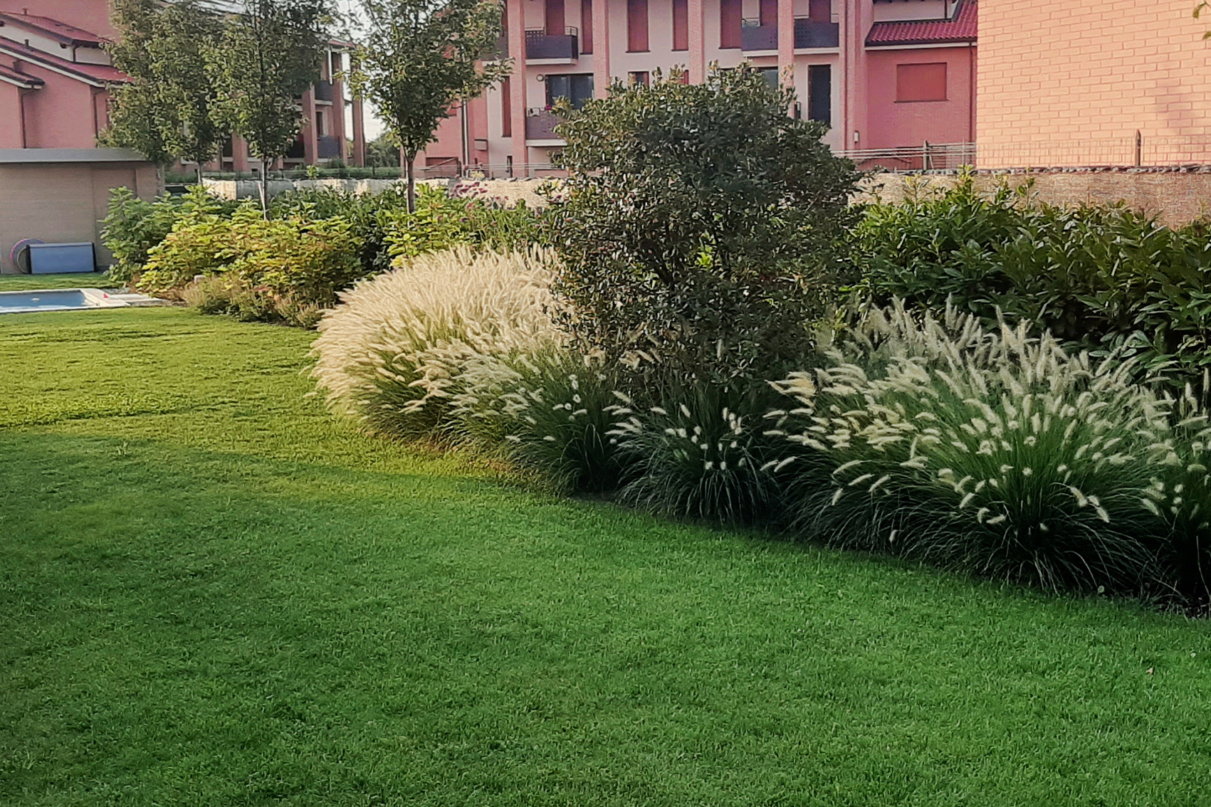 Giardino Collecchio realizzazione di giardino con prato e piscina a Collecchio con aiuole di graminacee ornamentali progettazione paesaggistica di giardino con piscina e bordure fiorite in provincia di Parma giardino privato con prato verde e aiuole perimetrali realizzato a Collecchio