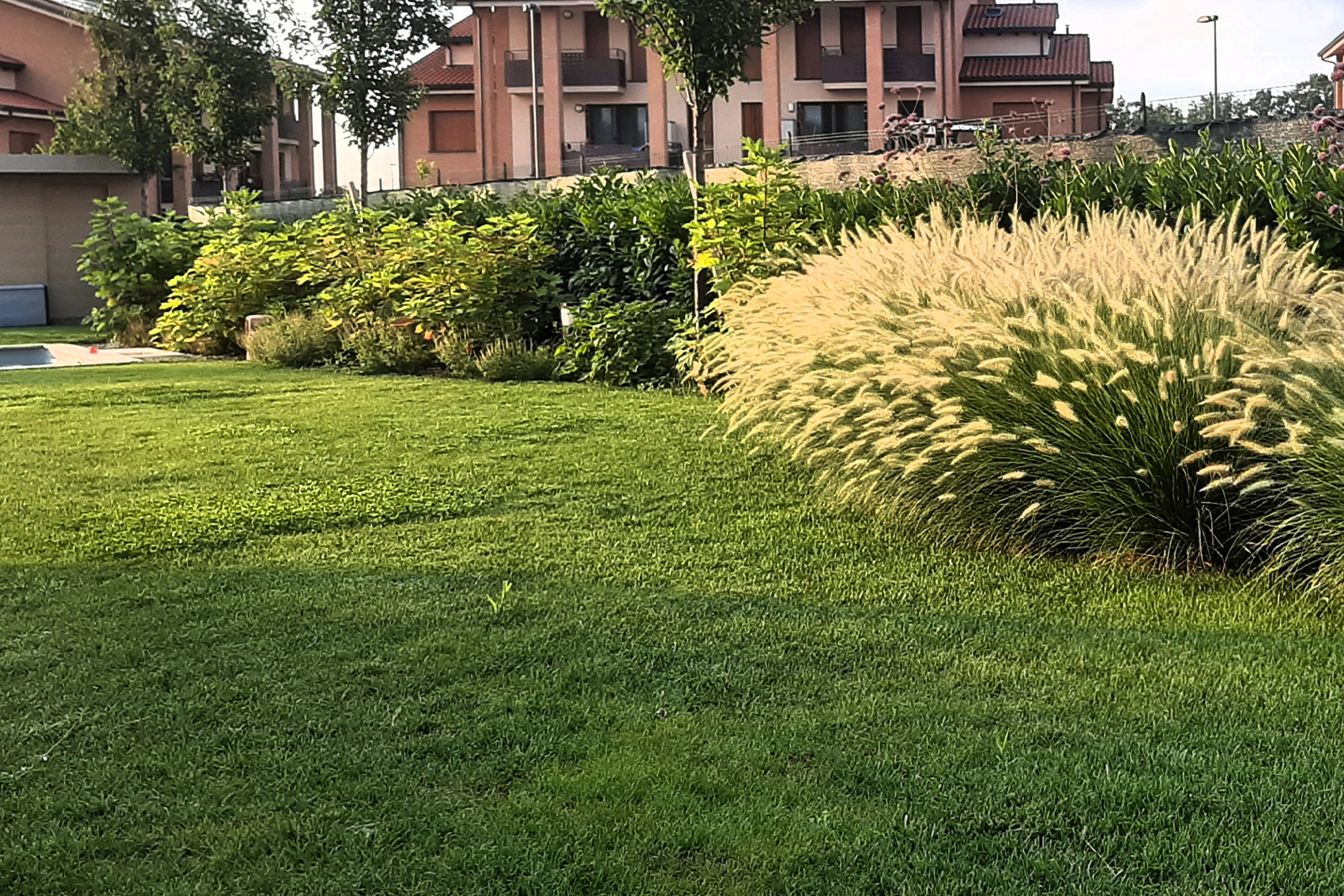 Giardino Collecchio realizzazione di giardino con prato e piscina a Collecchio con aiuole di graminacee ornamentali progettazione paesaggistica di giardino con piscina e bordure fiorite in provincia di Parma giardino privato con prato verde e aiuole perimetrali realizzato a Collecchio