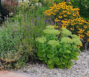 obbiettivo-giardini-parma-progettazione-giardini-parma-realizzazione-giardini